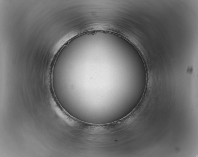 X0000111781042200907301116
