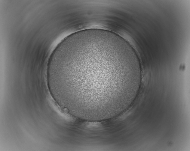 X0000111781043200907301116