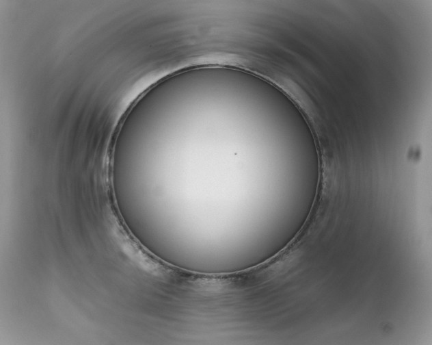 X0000111781044200907301116
