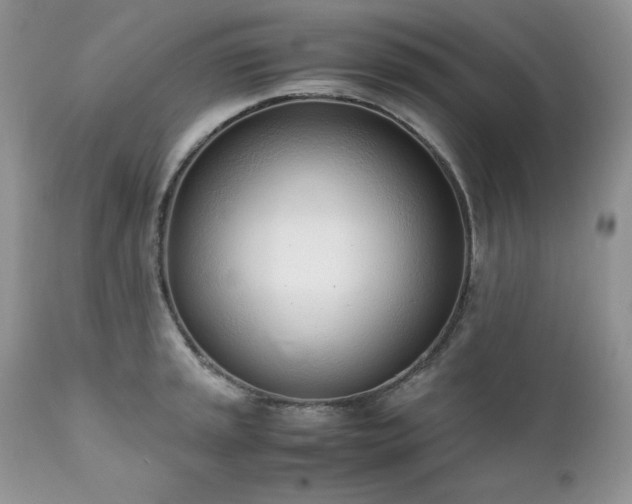 X0000111781045200907301116