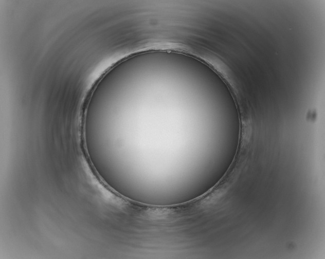 X0000111781046200907301116