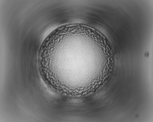 X0000111781047200907301116