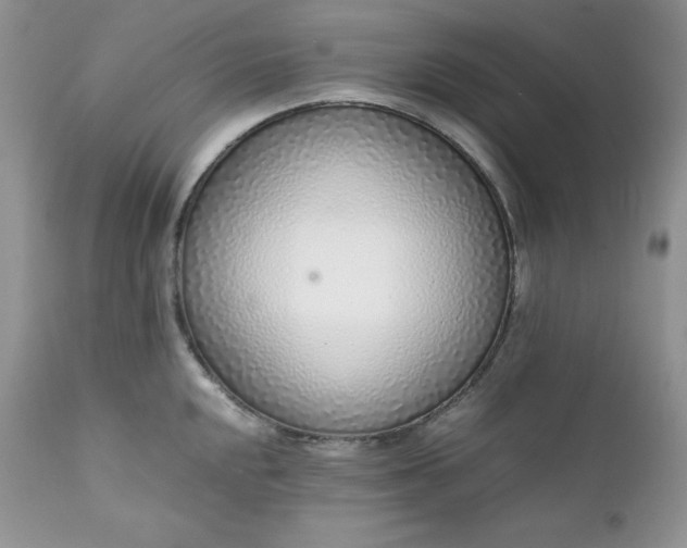 X0000111781048200907301116