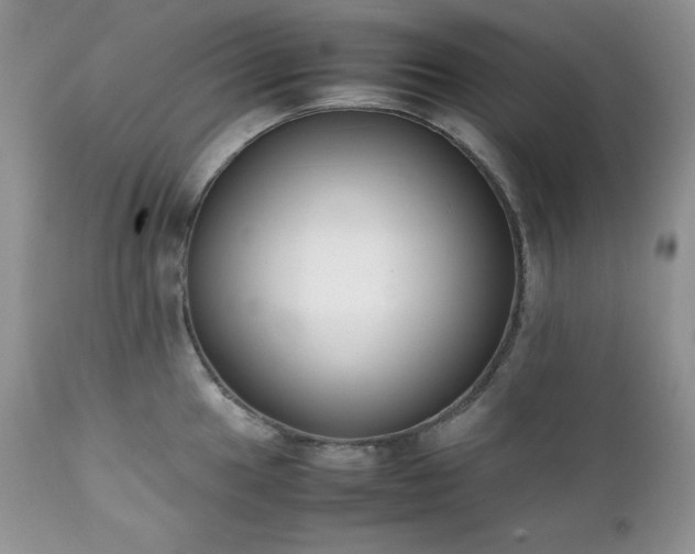 X0000111781049200907301116