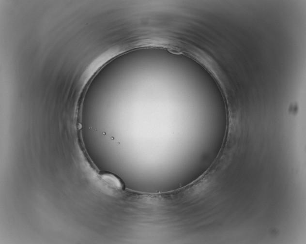 X0000111781050200907301116
