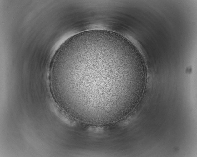 X0000111781051200907301116