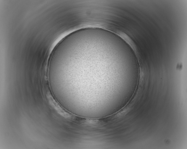 X0000111781052200907301116