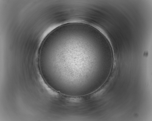 X0000111781053200907301116