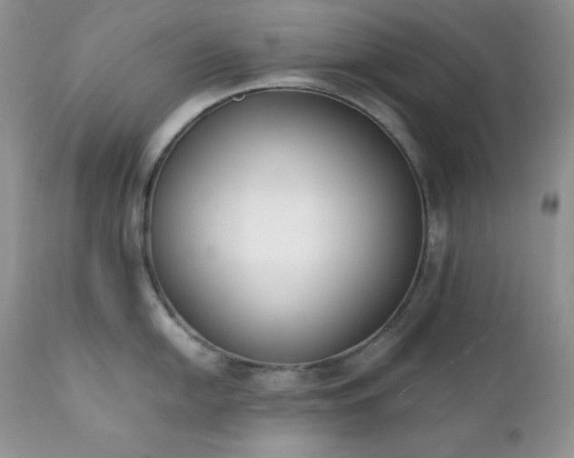 X0000111781054200907301116
