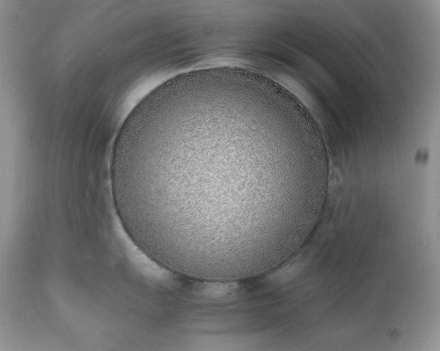 X0000111781055200907301116