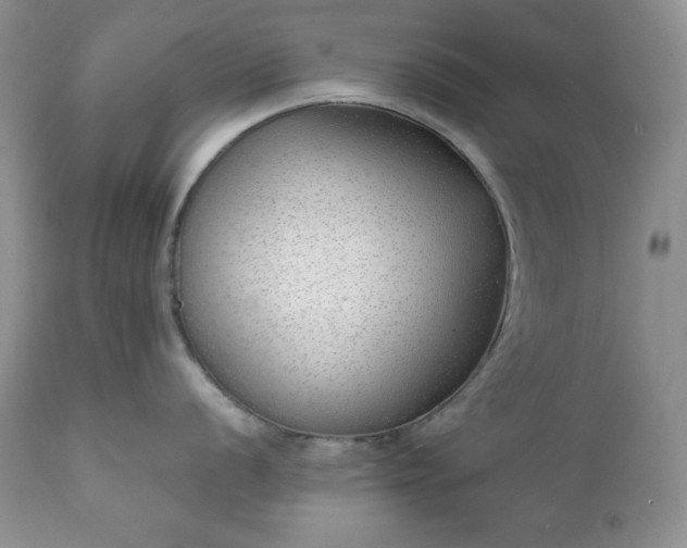 X0000111781056200907301116