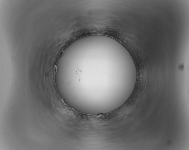 X0000111781057200907301116