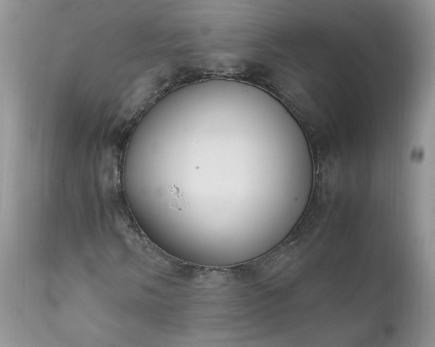 X0000111781058200907301116
