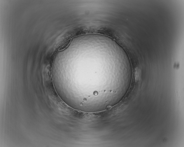X0000111781059200907301116