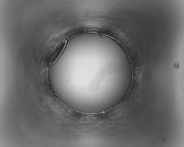 X0000111781061200907301116
