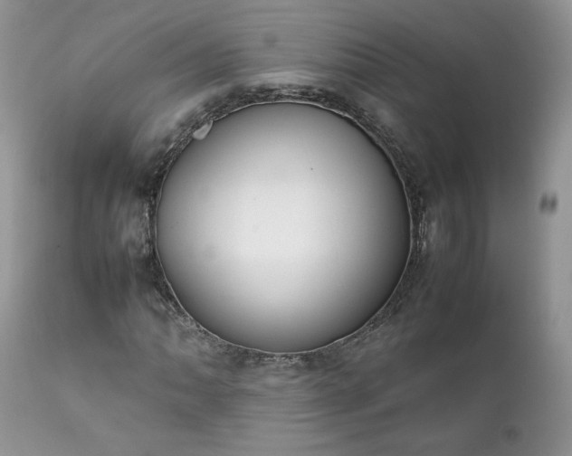 X0000111781062200907301116