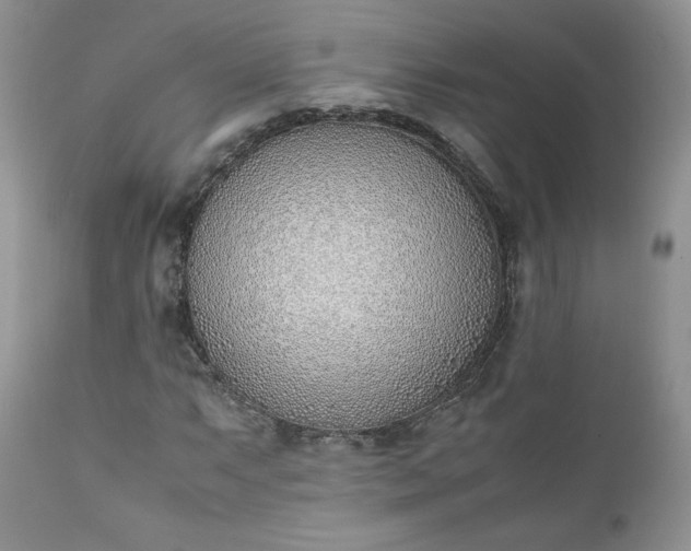 X0000111781063200907301115