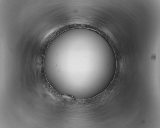 X0000111781064200907301115