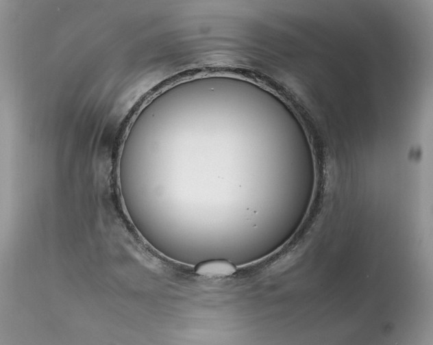 X0000111781065200907301115