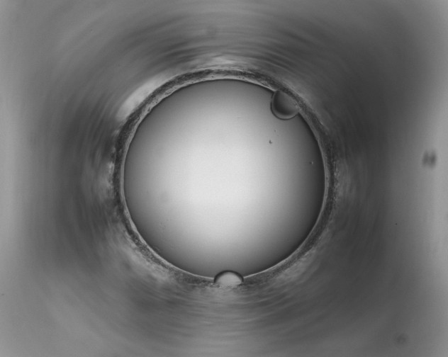 X0000111781066200907301115