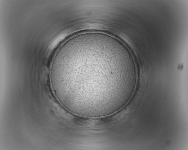 X0000111781067200907301115