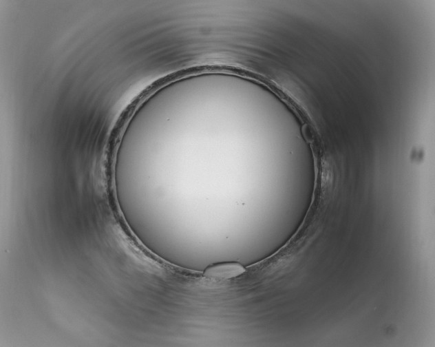 X0000111781068200907301115