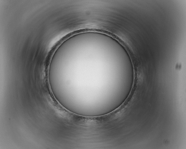 X0000111781070200907301115