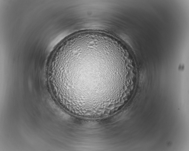 X0000111781071200907301115