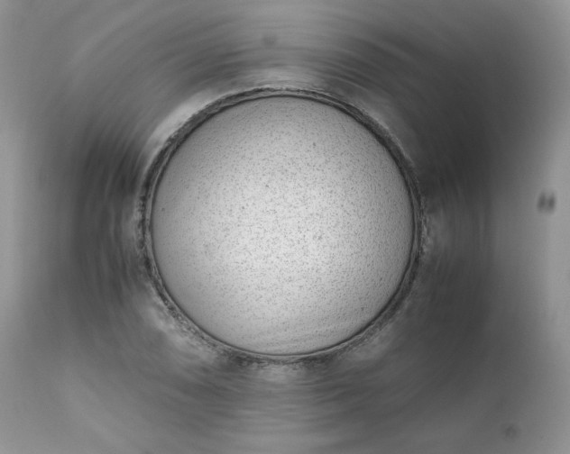 X0000111781074200907301115