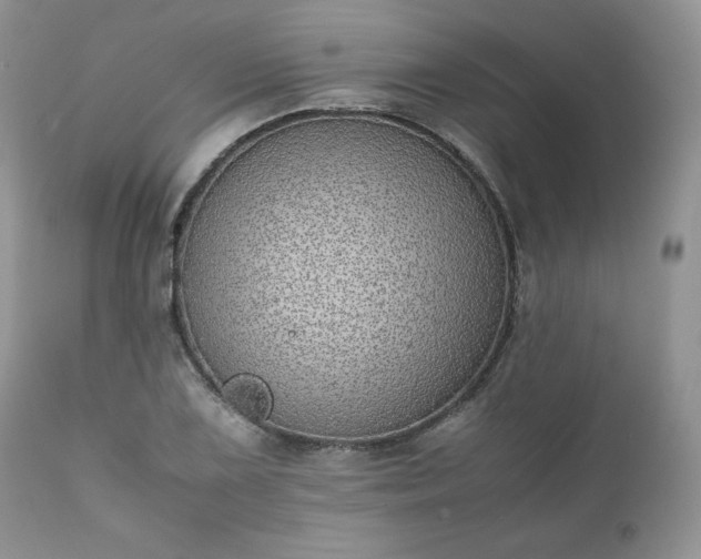 X0000111781075200907301115