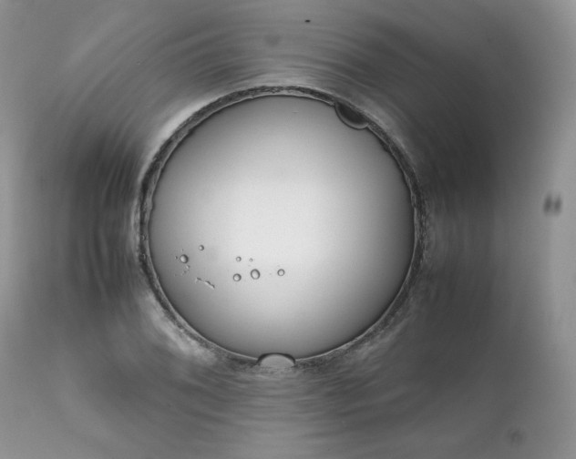 X0000111781076200907301115