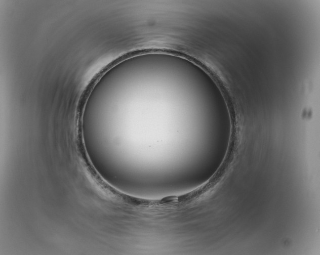 X0000111781077200907301115