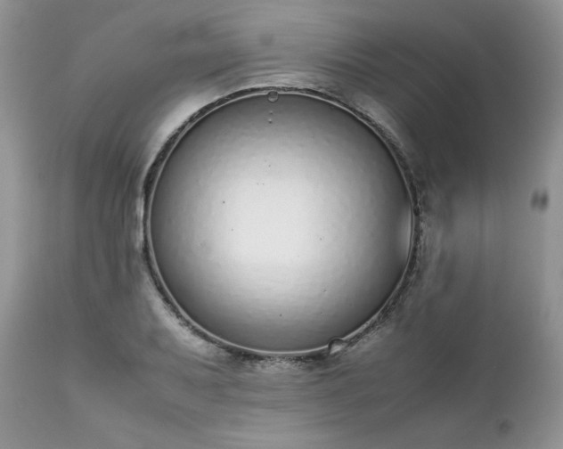 X0000111781079200907301115