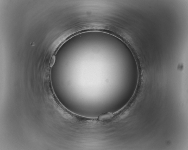 X0000111781081200907301115