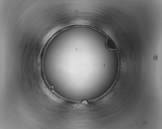 X0000111781082200907301115