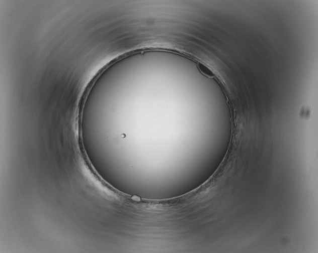 X0000111781084200907301115