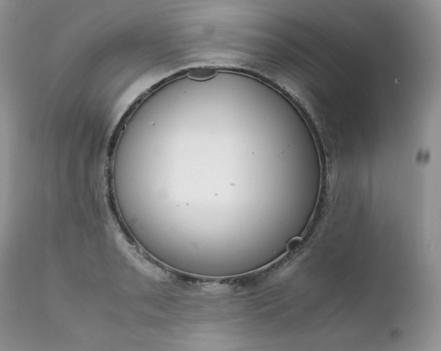 X0000111781085200907301115