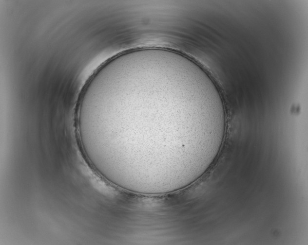 X0000111781086200907301115