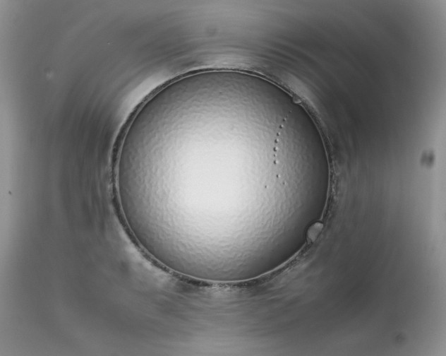 X0000111781087200907301115
