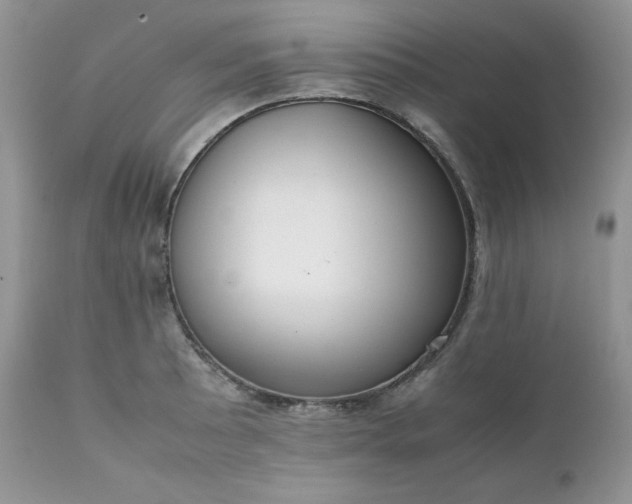 X0000111781089200907301115