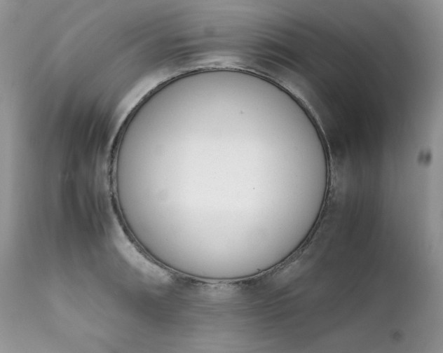 X0000111781090200907301115