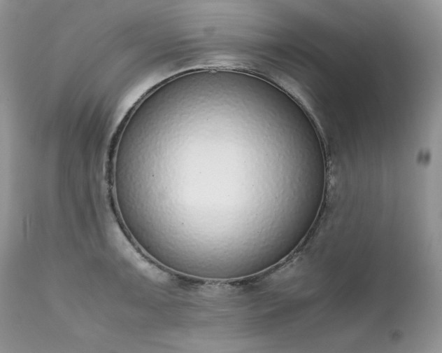 X0000111781091200907301115