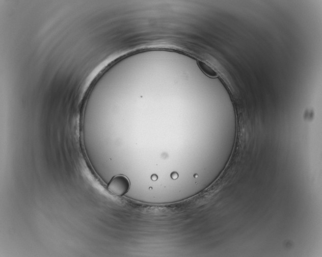 X0000111781092200907301115