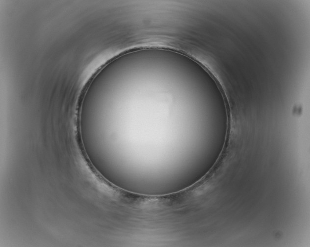 X0000111781093200907301115