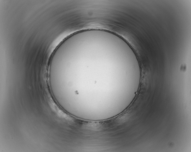 X0000111781094200907301115