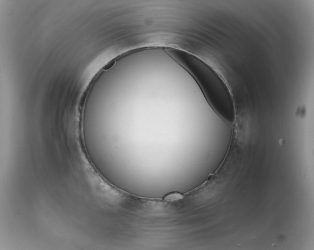 X0000111781096200907301115
