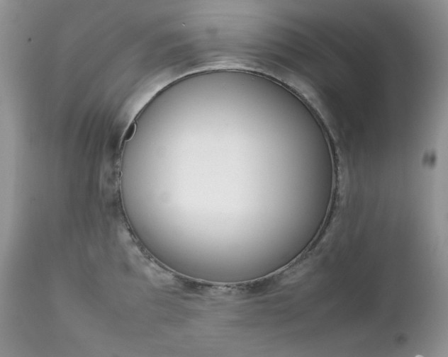 X0000111781097200907301115