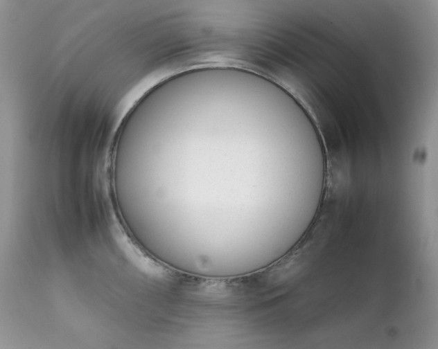 X0000111781098200907301115