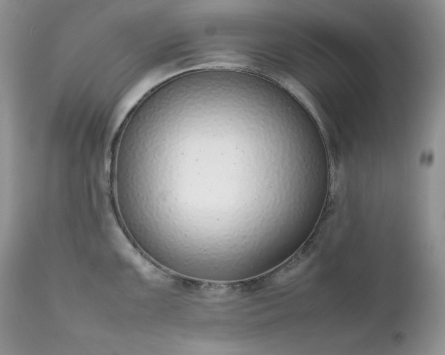 X0000111781099200907301115