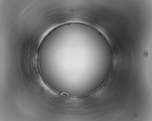 X0000111781100200907301115